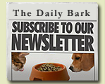 The Daily Bark - Dinkys Monthly Newsletter